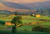 1546_Dawn Light, Wensleydale